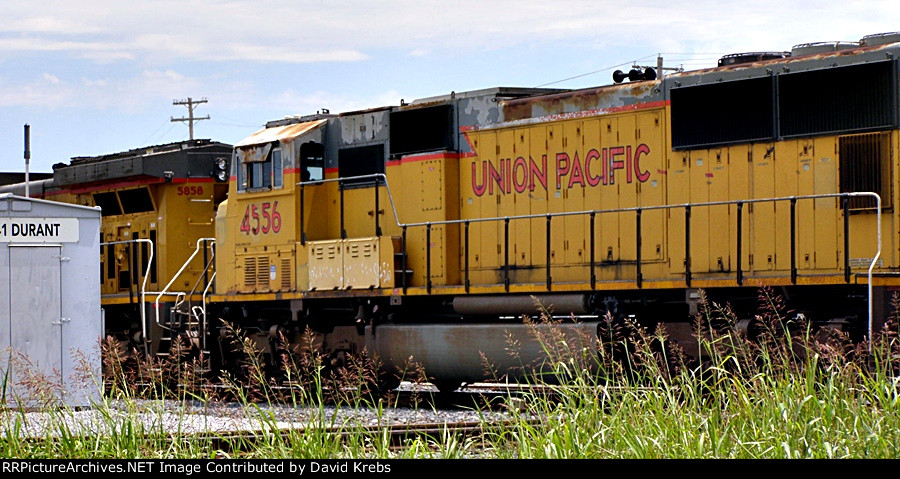 UP 4556